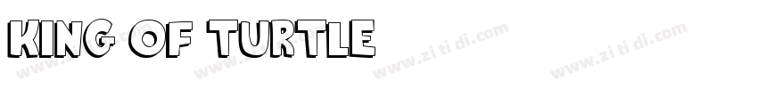 King OF Turtle字体转换
